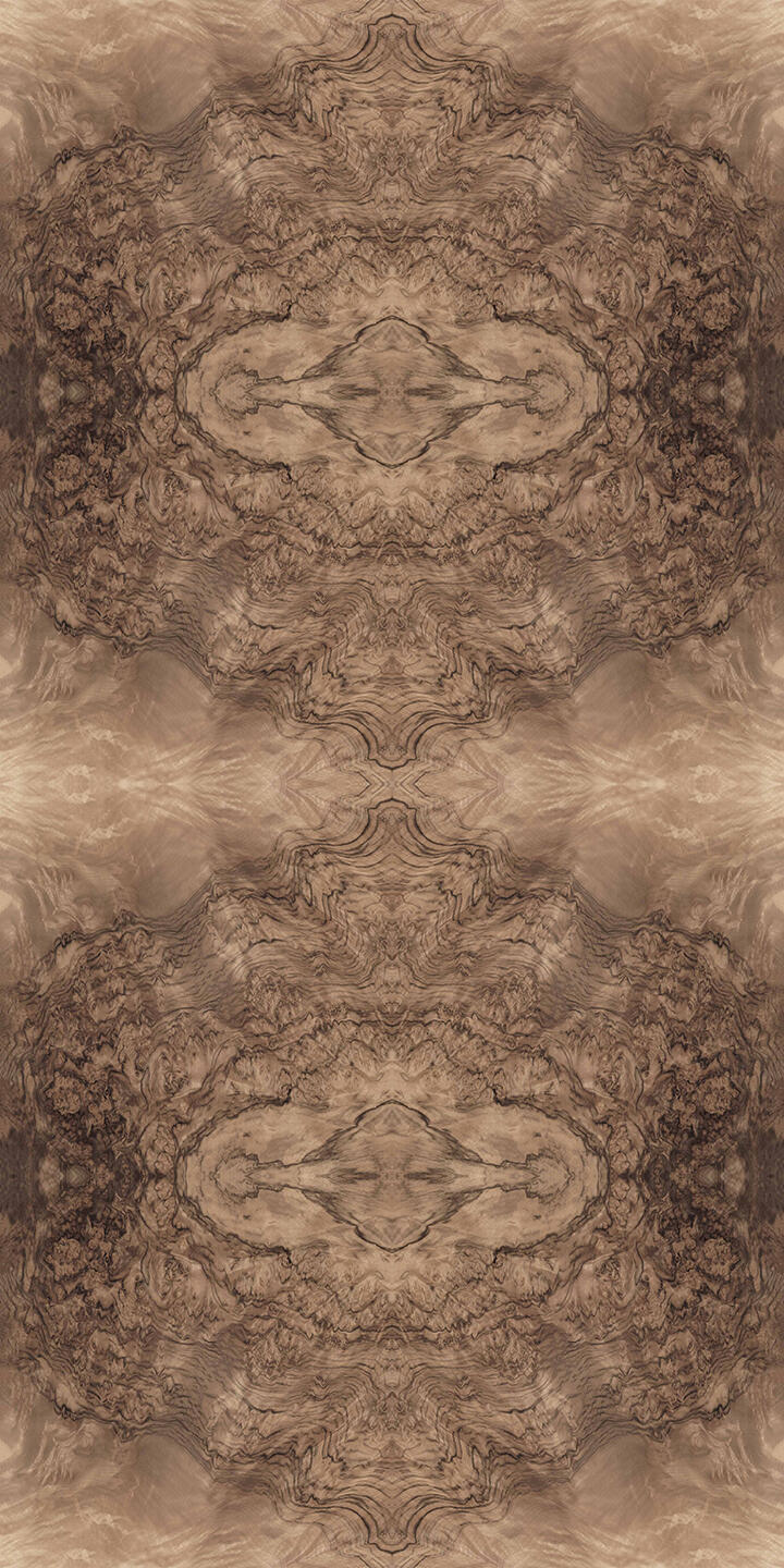 HerzogVeneers_Lithowood_WalnutBurl_Cognac5160Panel.jpg